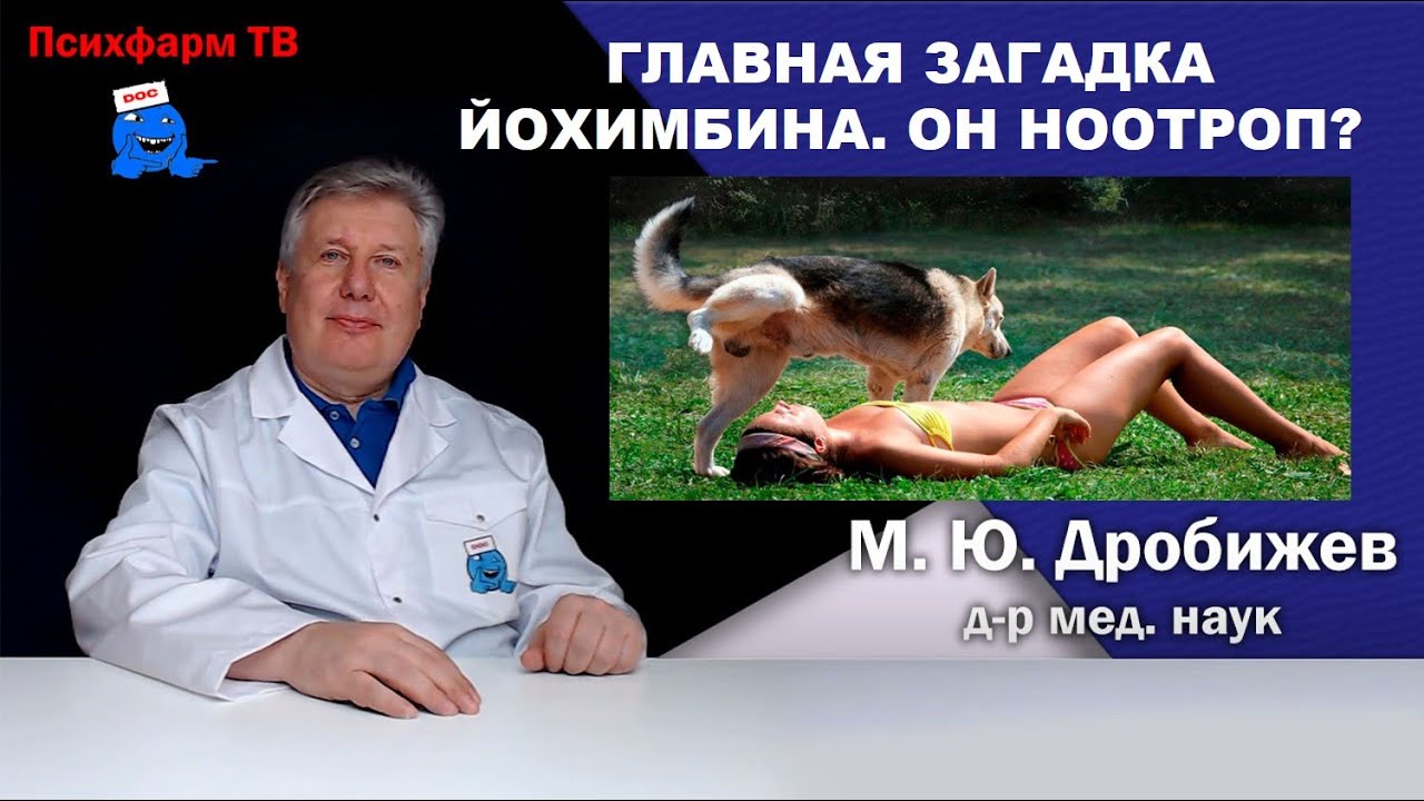 Главная загадка Йохимбина. Он ноотроп?