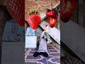 Habibi 🥰 Ya Mohammad 🥹 | I Love Allah 🕋 #shorts #islamicshorts #trendingshorts #vfxshorts