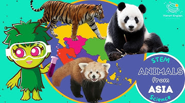 Animals from Asia | KS1 Science | STEM and Beyond