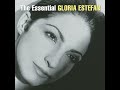 Gloria Estefan Reach NBC Olympic Version mp3