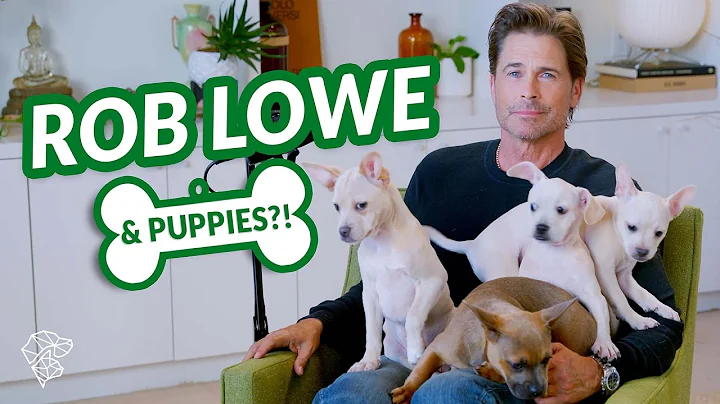 Rob Lowe Puppy Interview—Answer Right to Play With Puppies!