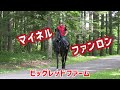 マイネルファンロン
