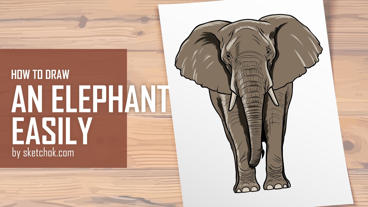 You Won’t Believe How Easy It Is to Draw an Elephant! 🐘🎨