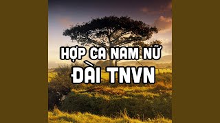 Tiếng chày trên sóc Bom Bo (Tân nhạc)