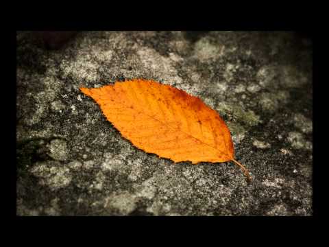 Mellow/Liquid/Melodic DNB Mix (october 2012)