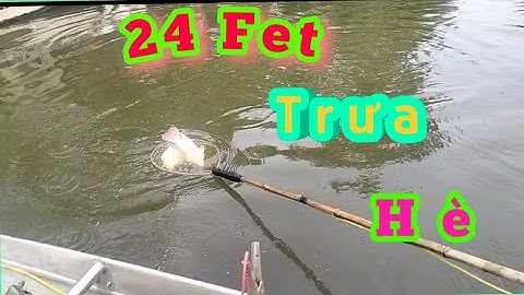 Dùng kích cá 24phet  bắt trọn ổ cá rô phi trên sông trưa hè 0362921480