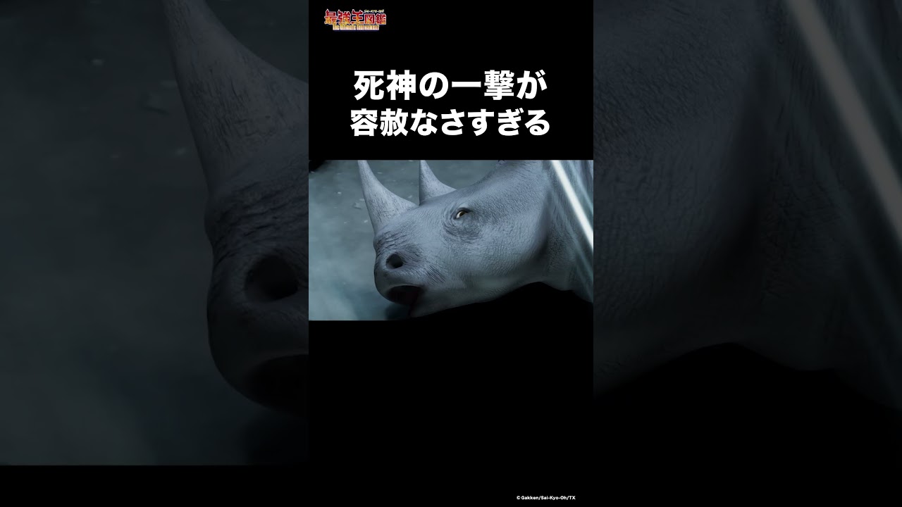 シロサイの柔らかい腹部に… #最強 #動物
