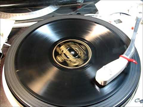 I CAN'T GIVE YOU ANYTHING BUT LOVE by The Knickerbockers 1928