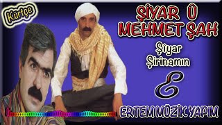 Şiyar U Mehmet Şah-Şiyar Şirinamın Resimi