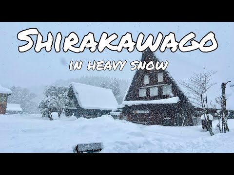 Shirakawa-go in Heavy Snow | January 2024