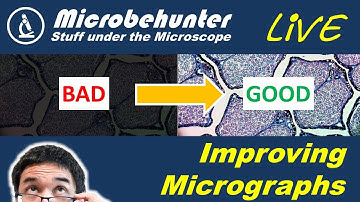 How to Make Your Microscope Images Look Professional