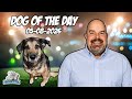 NBA Picks and Predictions for Today Friday 5/8/2026| Dawg of the Day