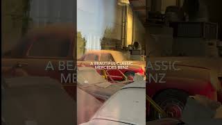I Found A Forgotten Showroom FULL Of Dusty Classic Porsches Which Havant Moved In Years!…