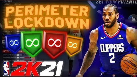 BEST GUARD BUILD ON NBA 2K21! PERIMETER LOCKDOWN BUILD! 50+ BADGE DEMIGOD BUILD ON 2k21!