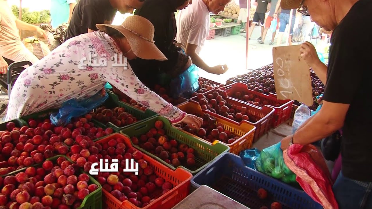 غلة لوكس من دينار لل2500 على بعضو والخضرة بأسعار منخفضة جدا..لي ماعندوش يهز بلاش وخلي الزوالي ياكل!!