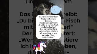 Narwal matcht Einhorn auf Tinder 🦄 #narwal