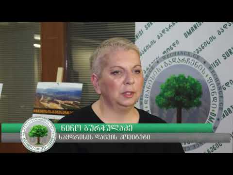 ნინო ბურჭულაძე საყდრისის დაცვის კომიტეტის წარმომადგენელი