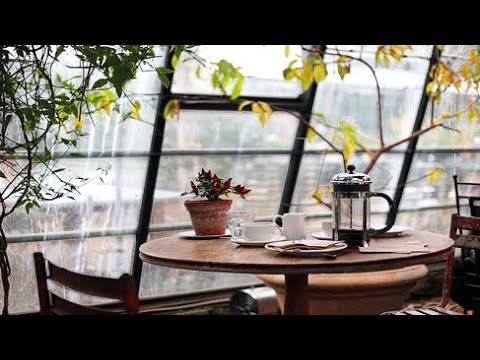 Cozy Rainy Coffee Shop Ambience | ASMR with Relaxing Smooth Jazz - YouTube
