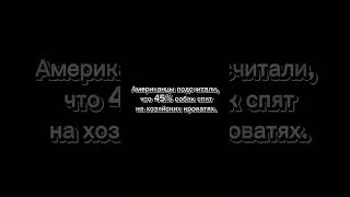 Факт про собак №11#shorts