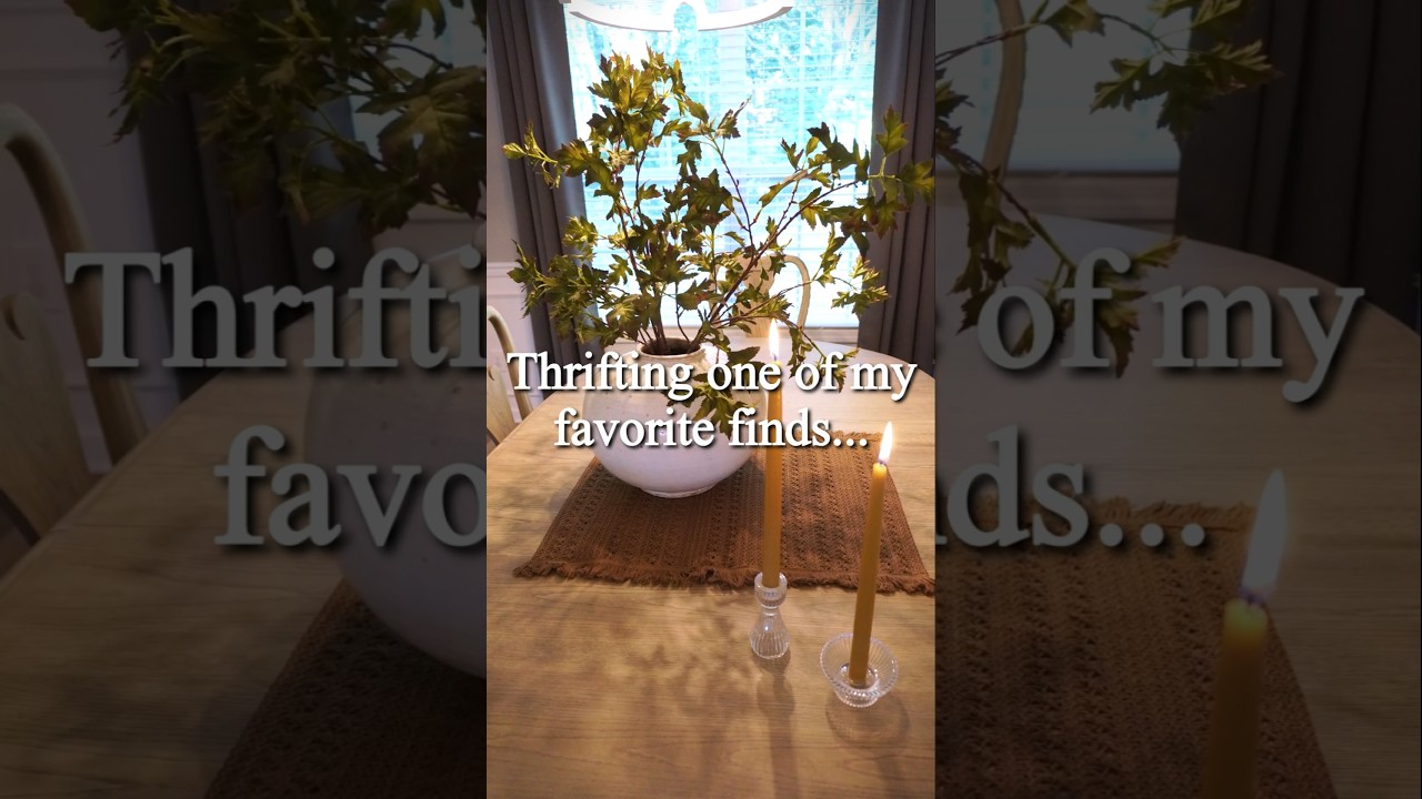 Vintage Find at Thrift Store Price 