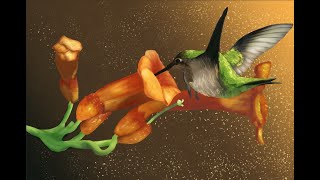 Digitally Painting a Hummingbird in Clip Studio Paint (part 2)