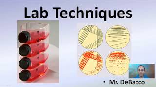 Lab Techniques