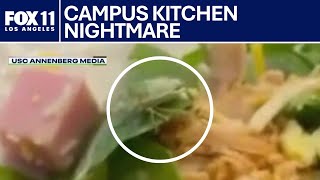 Maggots, bugs spotted at USC dining halls: Campus newspaper reports | FOX 11 LA