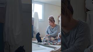 아침에 일어나면 제일 먼저 하는 일 (집사공감) #vlog #고양이 #시골살이브이로그 #cat #dog #강아지 #고양이일상
