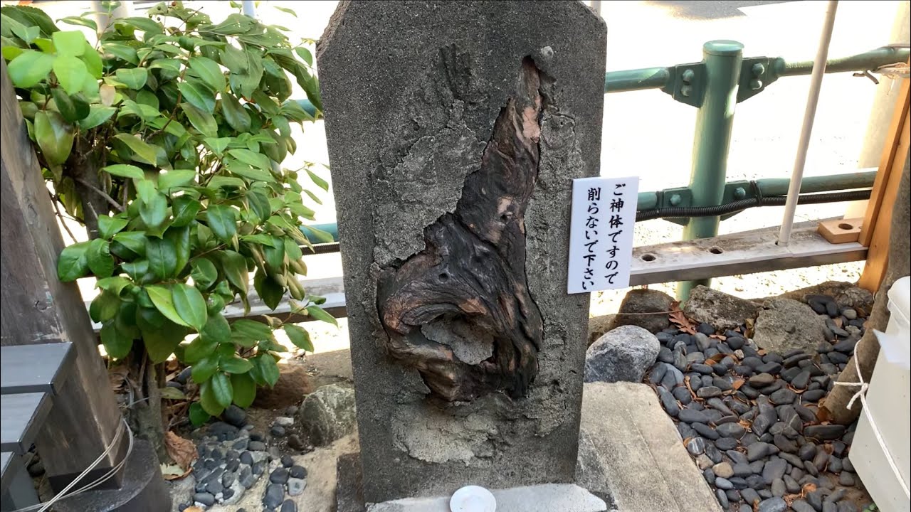 東京都板橋区 縁切榎【日本三大縁切神社】 - YouTube