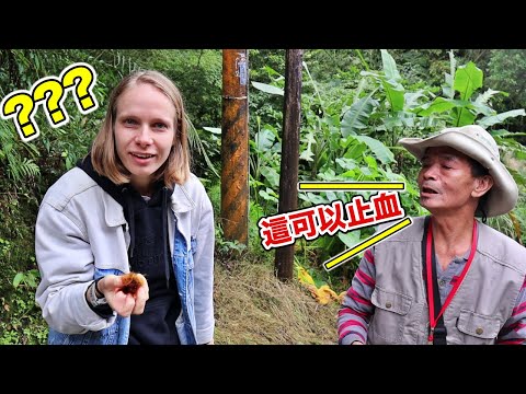 台灣人也不知道的地方🤐衛福部隱藏在山中的國家藥園! Taiwan Has A Hidden National Medicinal Plants Base?