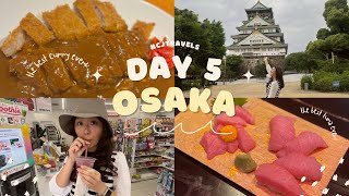 Day 5 - Osaka | 711 Smoothies, Kuromon Market, Osaka Castle, Den Den Town, Best Curry Ever!