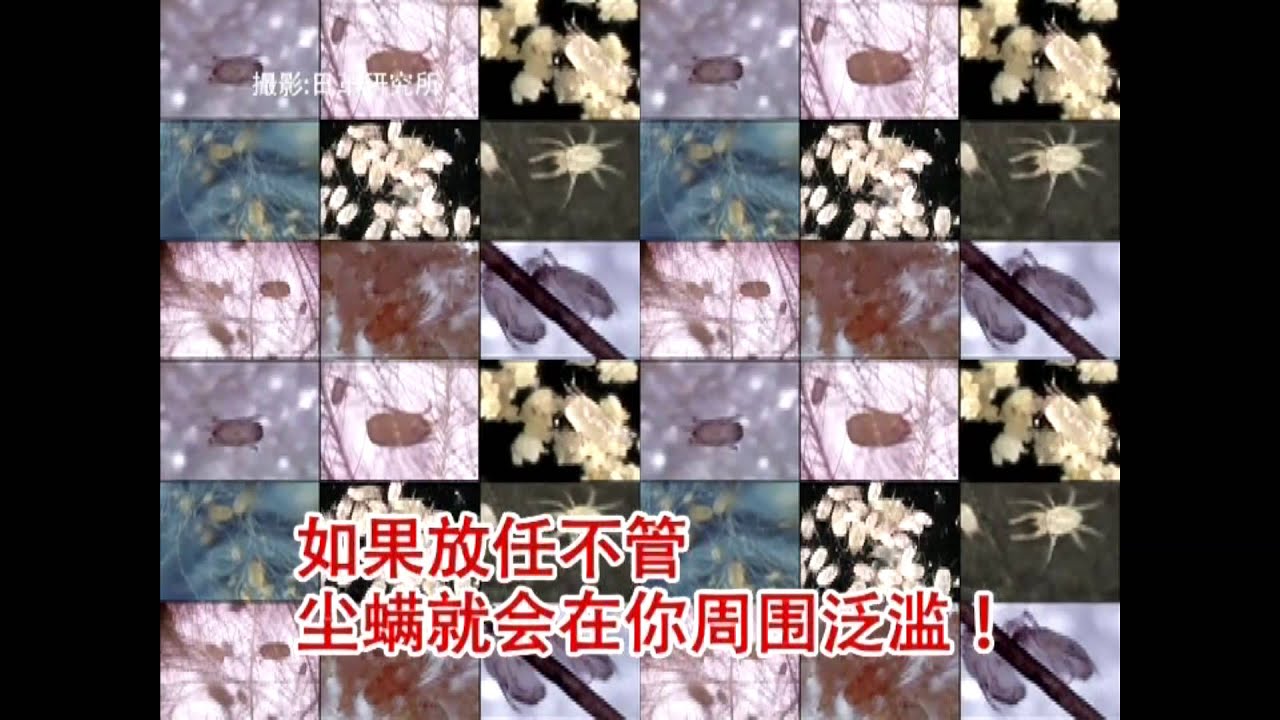 塵蹣 NinjaRobo中国短編1