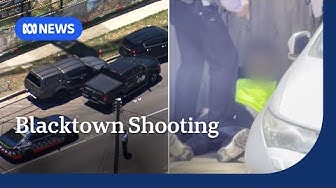 Thumbnail for Man shot dead in Sydney street, two suspects arrested | ABC NEWS