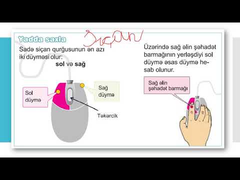 Video: Siçan Və Klaviatura Niyə Bloklanıb?