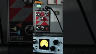 Filthy Bass Tone with the Maestro Invader