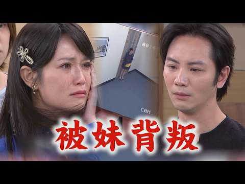 【百味人生】EP232 世茵被利用了還在幫冠偉說話 "犯案畫面"全被拍下 背叛世堂遭甩巴掌｜完全娛樂