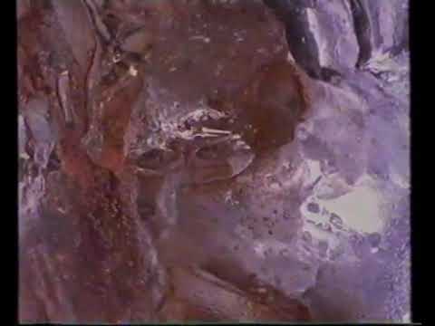 [香港經典廣告](1989)可口可樂
