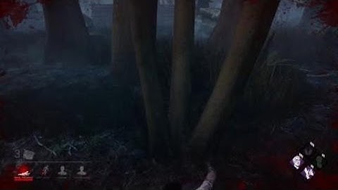 My Longest Chase In DBD