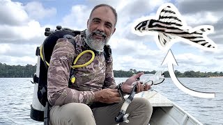 Em busca do cascudo-zebra na natureza (2022) - e outros peixes também!