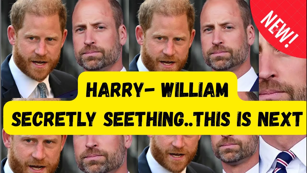 Гарри и Уильям — я в ярости от этого — что дальше? #новости #меган #принцгарри