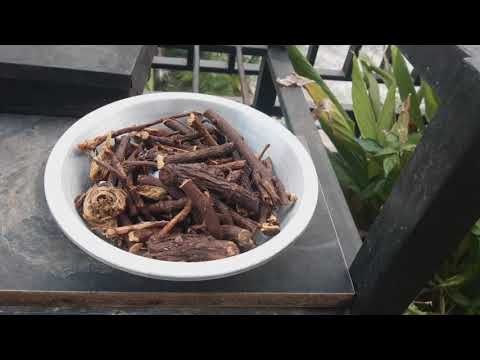 Video: Akar Licorice - Arahan, Penggunaan Untuk Kanak-kanak, Ulasan, Harga, Analog