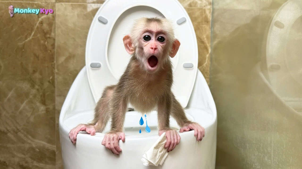 Baby Kyo super smart goes to the toilet by herself after waking up, surprising her Dad!