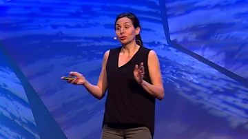 You Can Grow New Brain Cells  Here's How   Sandrine Thuret   TED Talks