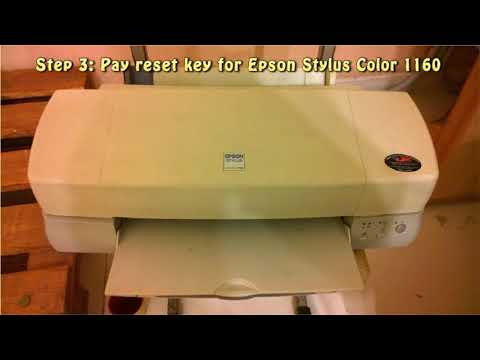 Reset Epson Stylus Color 1160 Waste Ink Pad Counter