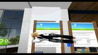 VNEC Second Life