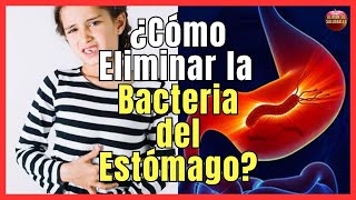 💚 11 REMEDIOS CASEROS NATURALES PARA ELIMINAR HELICOBACTER PYLORI 💚 (La Bacteria del Estómago)