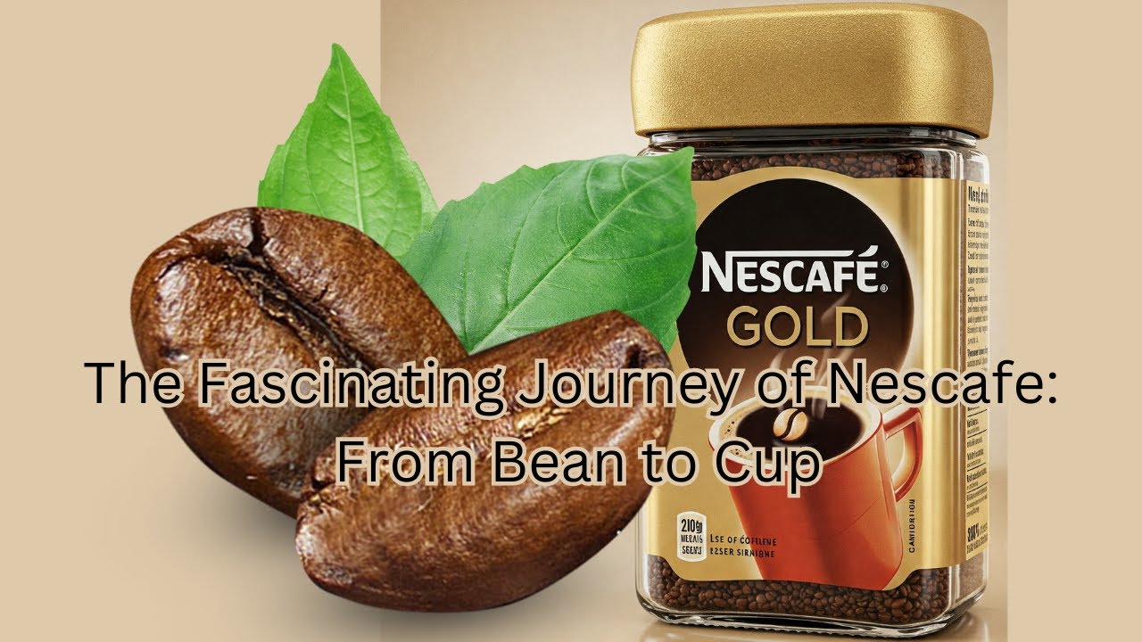The Fascinating Journey of Nescafé: From Bean to Cup - YouTube