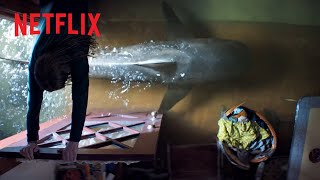 Thrash | Shark in the kitchen | AfricaOnNetflix