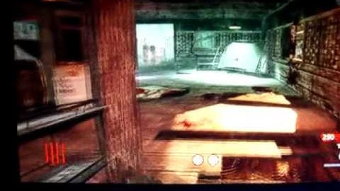 Pt. 1 No Perks/Mystery Box Shi No Numa Run