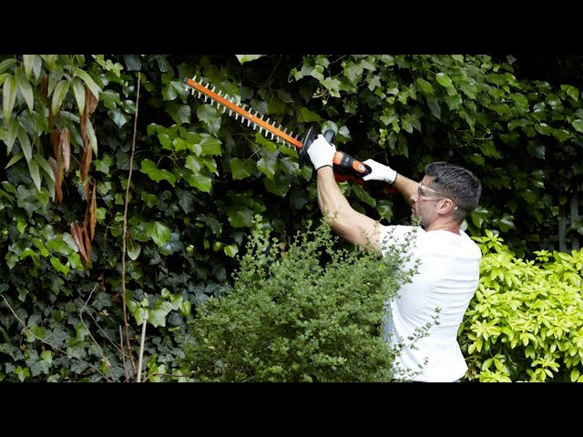 Black and Decker 20V 22 in. Lithium Hedge Trimmer LHT2220 - Review - Tools  In Action - Power Tool Reviews